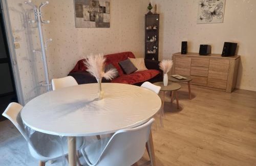 Salbris Apartment | appartement centre ville