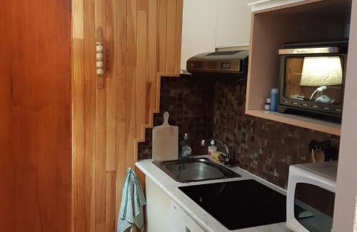 Les Tines Apartment | Appartement charme avec terrasse, vue Mont Blanc, parking, 3/4 pers - FR-1-517-65