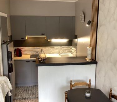Villard-de-Lans Apartment | Appartement cocooning