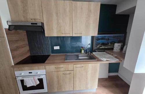 Rive Droite Apartment | Appartement confortable à Brest, 40 m² avec 2 chambres