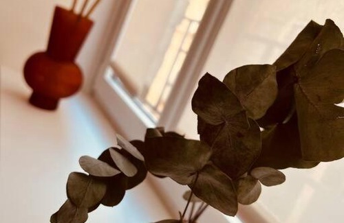 Saint-Roch - Badouillere - Chavanelle Apartment | Appartement cosy centre-ville