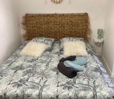 Le Cres Apartment | Appartement cosy centre du Crès