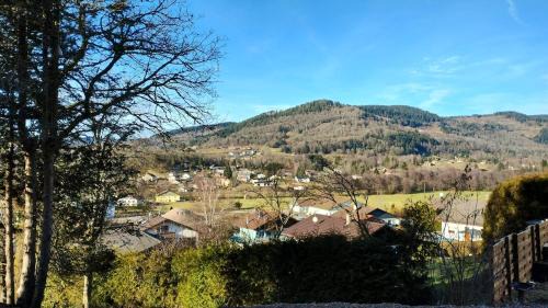 Le Thillot Apartment | appartement cosy