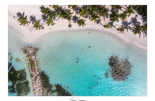 Sainte-Anne Apartment | Appartement cosy, les pieds dans l'eau !