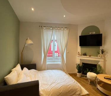 Rives de Meurthe Apartment | Appartement cosy NANCY