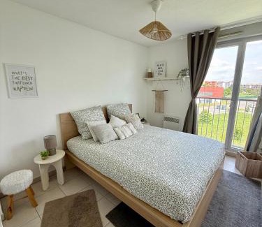 Colomiers Apartment | Appartement cosy - rénové et lumineux -