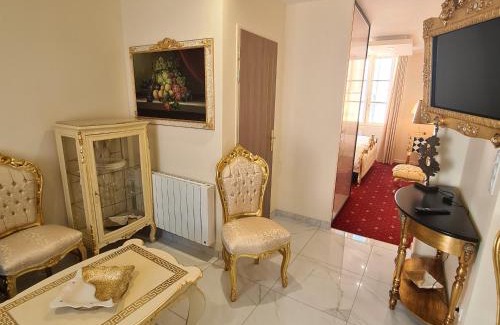 Sully-sur-Loire Apartment | Appartement Délire Baroque à Sully-sur-Loire avec Climatisation - FR-1-590-557