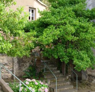 Canari Apartment | Appartement dans le Cap Corse - Canari