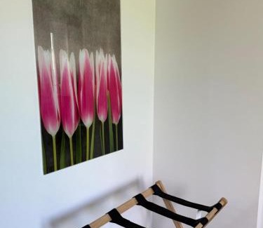 Bad Muender am Deister Apartment | Appartement bis 3 Personen gehobene Ausstattung