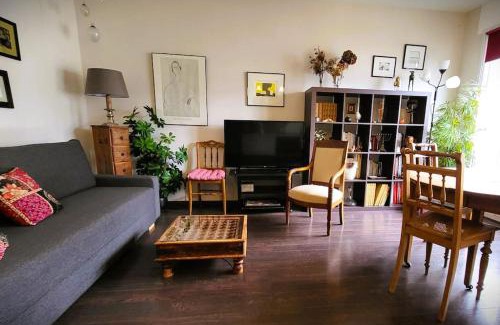 Besancon Old Town Apartment | Appartement des beaux-arts