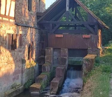 Krautergersheim Apartment | Appartement des rives de l'Ehn