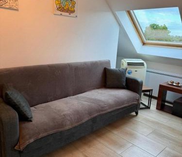 Horbourg-Wihr Apartment | Appartement Douceur