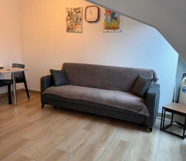 Horbourg-Wihr Apartment | Appartement Douceur