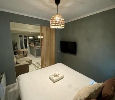 Alfortville Apartment | Appartement douillet Alfortville 10' de Paris