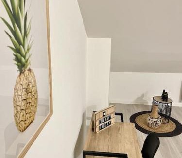 Luneville Apartment | Appartement du Château