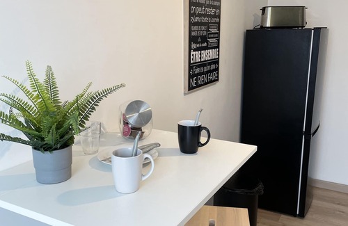 Chateauroux Apartment | Appartement du Grand Parc (2)