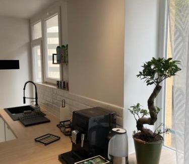 Belfort Apartment | Appartement du lion