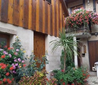 Ottrott Apartment | Appartement duplex chez Sandra
