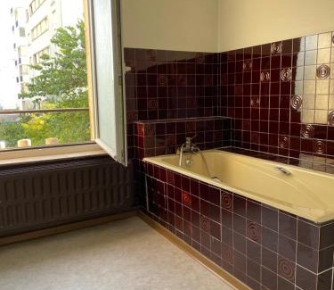 Haussonville-Blandan-Mon Desert-Saurupt Apartment | APPARTEMENT entier à ARTEM - Proche de Nancy Thermal