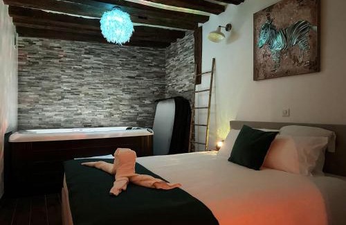 Chartres Apartment | Appartement et Jacuzzi privatif, cœur de Chartres.