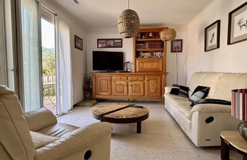 Sorede Apartment | Appartement familial climatisé avec terrasse, 2 chambres, à 8 km de la mer - Sorède - FR-1-225-737