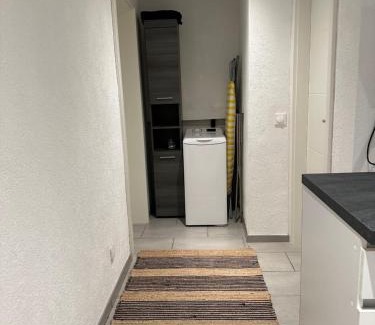 Illkirch-Graffenstaden Apartment | Appartement cosy dans une maison calme et parking gratuit avec borne