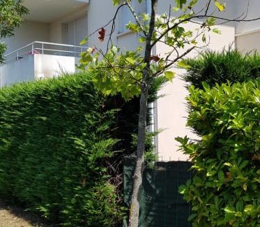 Saint-Andre-de-Cubzac Apartment | Appartement 2 pièces avec jardin privatif