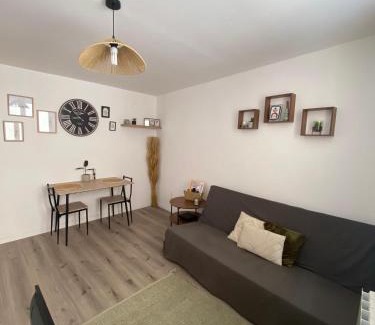 Saint-Denis-en-Bugey Apartment | Appartement proche CNPE et PIPA