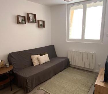 Saint-Denis-en-Bugey Apartment | Appartement proche CNPE et PIPA