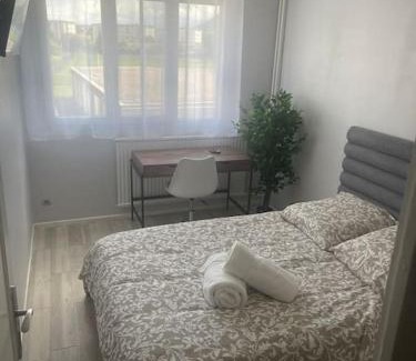 Saint-Martin-d'Heres Apartment | Appartement entier climatisé - parking privé