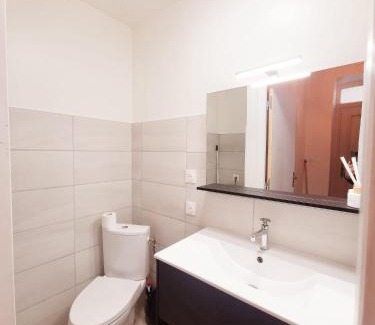 Villefranche-sur-Saone Apartment | appartement cosy en centre ville avec terrasse
