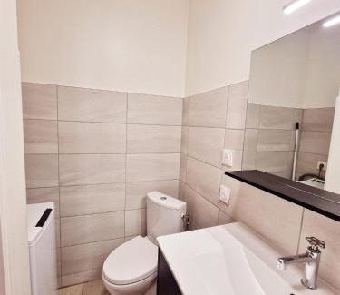 Villefranche-sur-Saone Apartment | appartement cosy en centre ville avec terrasse