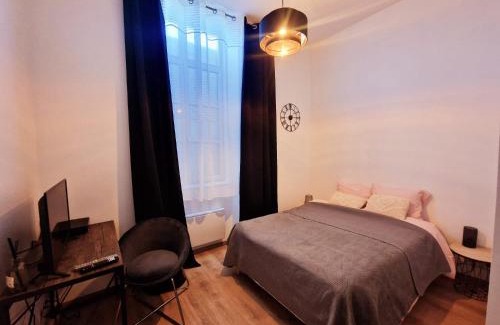 Villefranche-sur-Saone Apartment | appartement cosy en centre ville avec terrasse