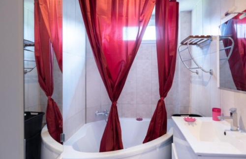 Meyzieu Apartment | Appartement Fuychaa Proche de Lyon , Eurexpo , stadium , Aréna