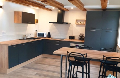 Andolsheim Apartment | Appartement HANSI - Superb duplex in renovated Alsatian house!