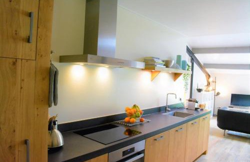 Diever Apartment | Appartement Hoeve aan de Zuurlanderes Stal-2