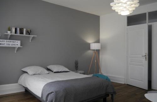 Tarbes Apartment | Appartement hypercentre Tarbes - 2 grandes chambres