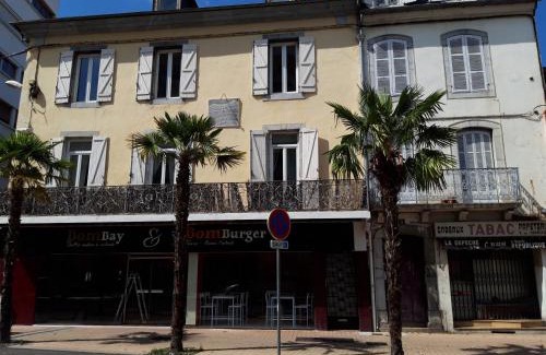 Tarbes Apartment | Appartement hypercentre Tarbes - 2 grandes chambres
