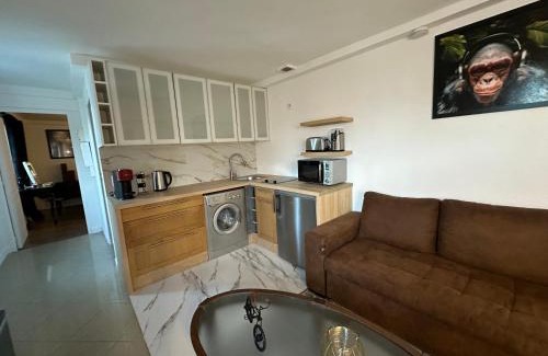 Champigny-sur-Marne Apartment | Appartement khezia