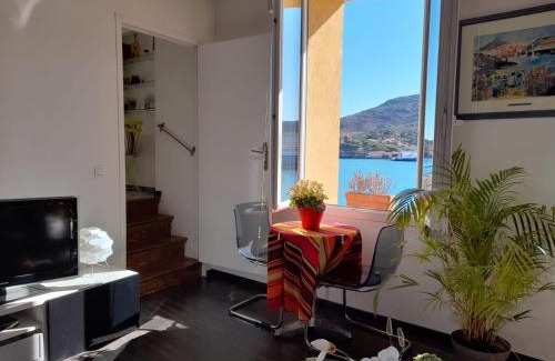 Port-Vendres Apartment | Appartement La Méditerranée vue sur Mer plein soleil 3 climatisations réversibles
