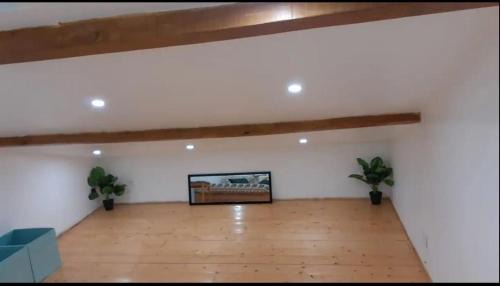 Pibrac Apartment | Appartement La Paix