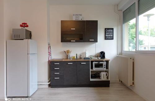 Macon Apartment | Appartement La Roseraie PARKING PRIVE