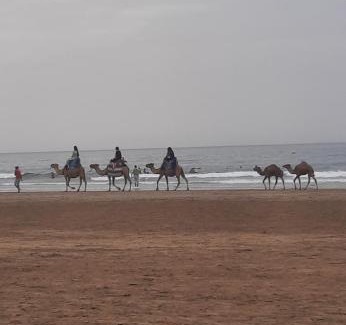 Larache Apartment | appartement larache ville