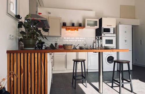 Tournefeuille Apartment | Appartement Le Cosy de La Ramée