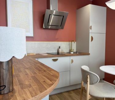 Moulins Apartment | Appartement Le rêve de Gaïa Climatisation et Wifi