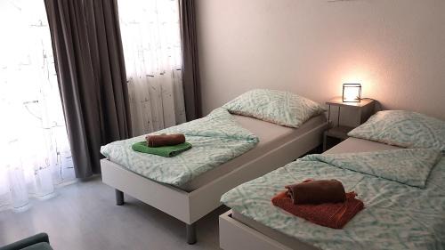 Saas Almagell Apartment | Appartement Lehnbach