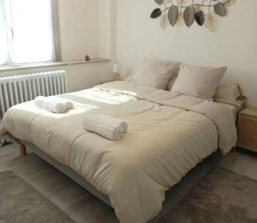 Remiremont Apartment | Appartement Les Géraniums