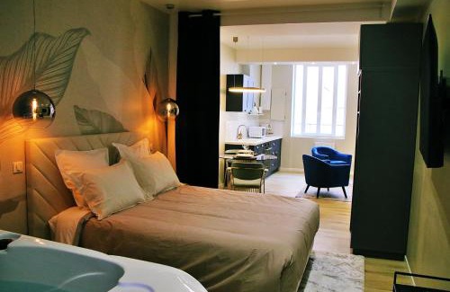 Roanne Apartment | Appartement luxueux avec Jacuzzi privatif