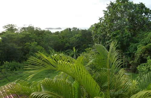 Bouillante Apartment | Appartement Malendure Bay