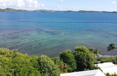 Le Robert Apartment | Appartement Mer Azur